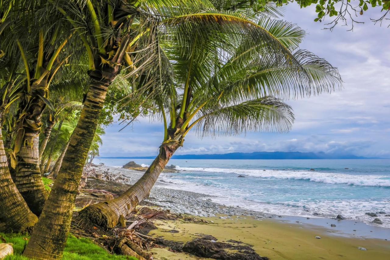 Вилла Casa Contiki Cabo Matapalo Экстерьер фото